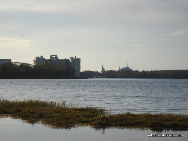 View of Space Mountain from Nature Trail